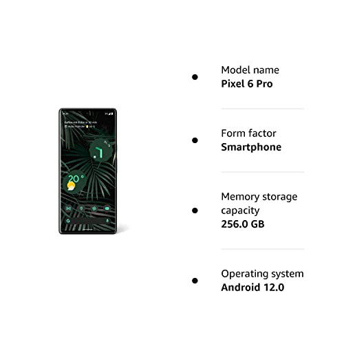 Google Pixel 6 Pro – Unlocked Android 5G Smartphone with 50-Megapixel Camera and Wide-Angle Lens 256 GB – Stormy Black (Renewed)