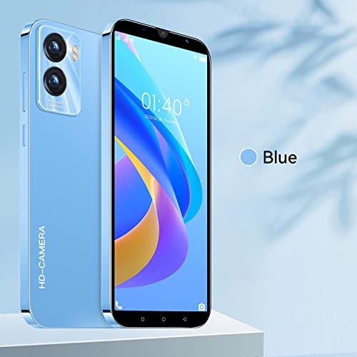 2SimOk Cheap Mobile Phones, 5.0 inch IPS Display, Android Smarphones, 2500mAh Battery, Dual Camera, Dual SIM 3G Cell Phone (R35-Blue)