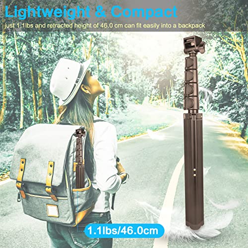 2-in-1 Phone Tripod and Selfie Stick with Remote and Holder