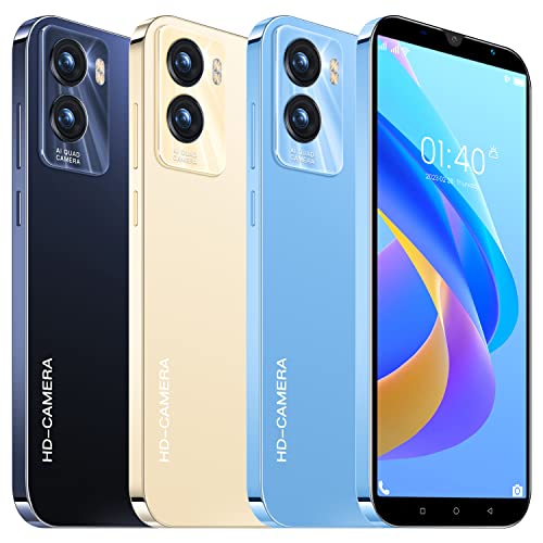 Cheap Dual SIM Android Smartphone - 5" Display