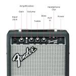 Fender Frontman 10G Amp Bundle with Picks