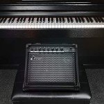 Donner DKA-20 20W Keyboard and Bass Amp
