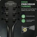 Fesley 39" LP Electric Guitar Kit for Beginners