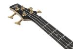 Ibanez Gio GSR200PC 4-String Electric Bass Guitar
