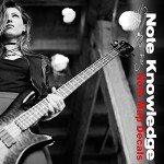 Bass Guitar Fretboard Note Map Stickers