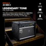 Roland JC-22 Jazz Chorus Guitar Amplifier
