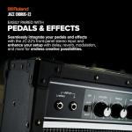 Roland JC-22 Jazz Chorus Guitar Amplifier