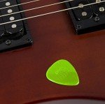 D'Andrea Snarling Dog Brain Nylon Guitar Picks - 12 Pack
