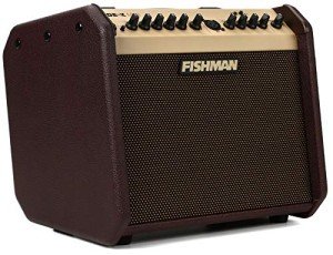 Fishman Loudbox Mini BT 60W Acoustic Amp
