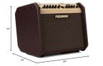 Fishman Loudbox Mini BT 60W Acoustic Amp