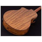 Washburn Bella Tono 6-String Acoustic-Electric Guitar