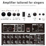 Coolmusic BP60D 120W Battery Acoustic Guitar Amp