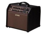 Boss Acoustic Singer 60W Bi-Amp Combo Amplifier