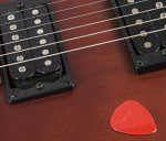 Snarling Dogs 12-Pack Guitar Picks in Tin