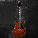 Redid RD-100 Semi-Hollow Electric Guitar, Brown