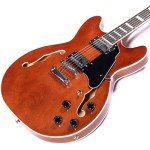 Redid RD-100 Semi-Hollow Electric Guitar, Brown