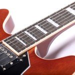 Redid RD-100 Semi-Hollow Electric Guitar, Brown