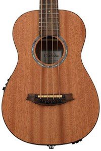 Cordoba Mini II Acoustic-Electric Bass Guitar