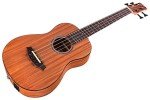 Cordoba Mini II Acoustic-Electric Bass Guitar