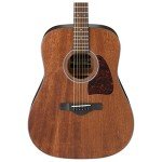 Ibanez Artwood AW54OPN Natural Acoustic Guitar