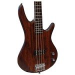 Ibanez GSR100EX GIO Electric Bass Guitar