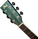 WINZZ 40" Acoustic Guitar Starter Bundle - Dark Green