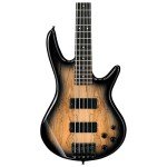 Ibanez GSR205SMNGT Spalted Maple Guitar, Grey Burst