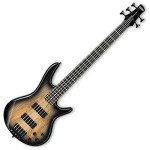 Ibanez GSR205SMNGT Spalted Maple Guitar, Grey Burst