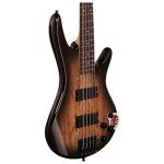 Ibanez GSR205SMNGT Spalted Maple Guitar, Grey Burst