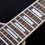 Firefly FFLX Dark Purple Solid Body Electric Guitar