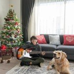 Ktaxon Electric Bass Guitar & 20W Amp Kit