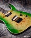 Leo Jaymz Monsoon Electric Guitar - Green Burl