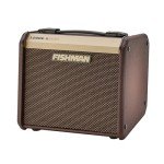 Fishman Loudbox Micro Acoustic Combo Amp 40W