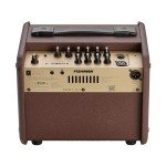 Fishman Loudbox Micro Acoustic Combo Amp 40W