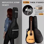 CAHAYA 39-Inch Classical Guitar Beginner Kit