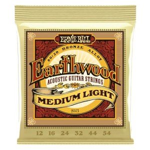 Ernie Ball Earthwood 80/20 Bronze Guitar Strings 12-54