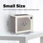 MOOER 15W Guitar Combo Amp with Bluetooth