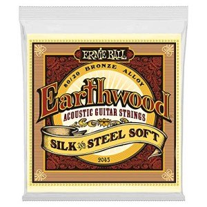 Ernie Ball Earthwood Silk & Steel Acoustic Strings