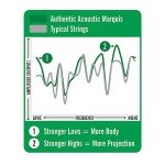 Martin Authentic Acoustic Silked Guitar Strings - Custom Gauge