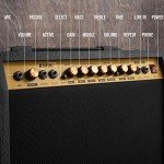 LyxPro 40W Electric Guitar Combo Amplifier