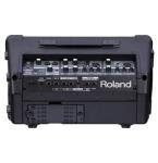 Roland CUBE Street EX 50W Battery Powered Amp