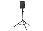 Roland CUBE Street EX 50W Battery Powered Amp