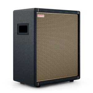 Positive Grid Spark CAB Powered Guitar Amp Speaker