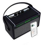 MOOER SD10i Portable 10W Guitar Amp with Effects
