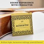 BELFORT® Premium Acoustic Guitar Strings Set - Bonus Picks