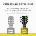 BELFORT® Premium Acoustic Guitar Strings Set - Bonus Picks