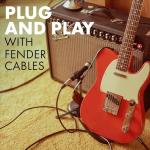 Fender 10 ft Professional Guitar Instrument Cable