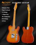 Leo Jaymz TL Style Electric Guitar - Honey Burst