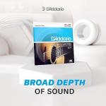D'Addario EJ12 Medium Acoustic Guitar Strings Set