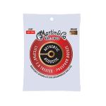 Martin Lifespan 2.0 Acoustic Guitar Strings